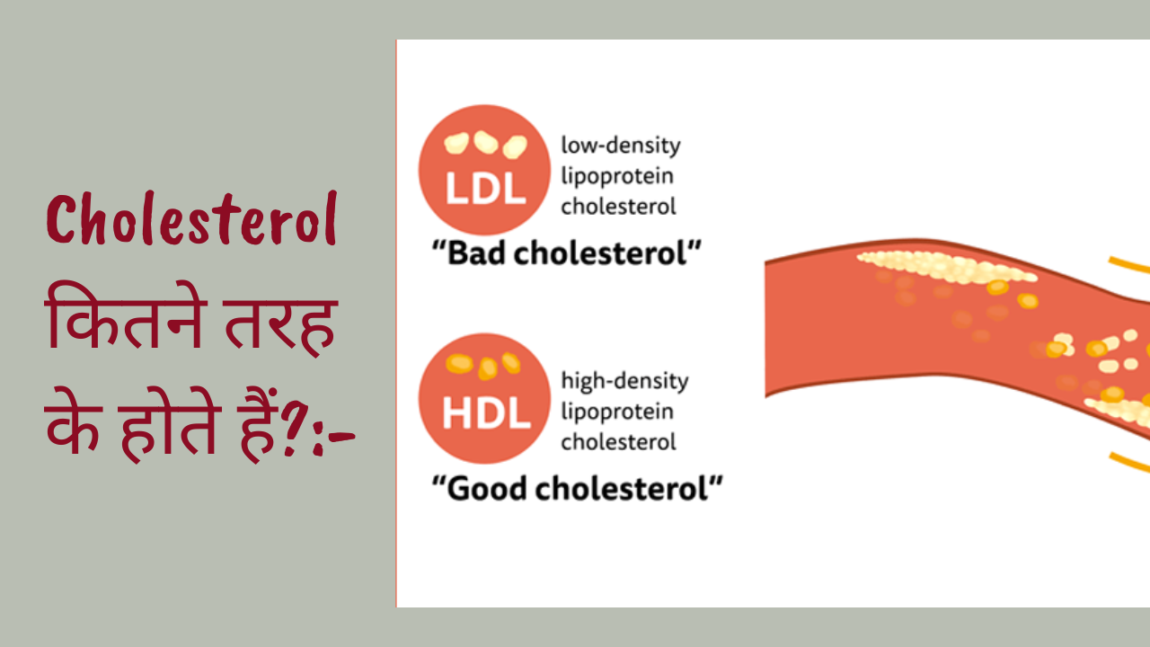 Cholesterol कितने तरह के होते हैं?:--