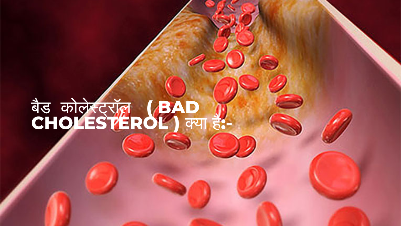 bed cholesterol