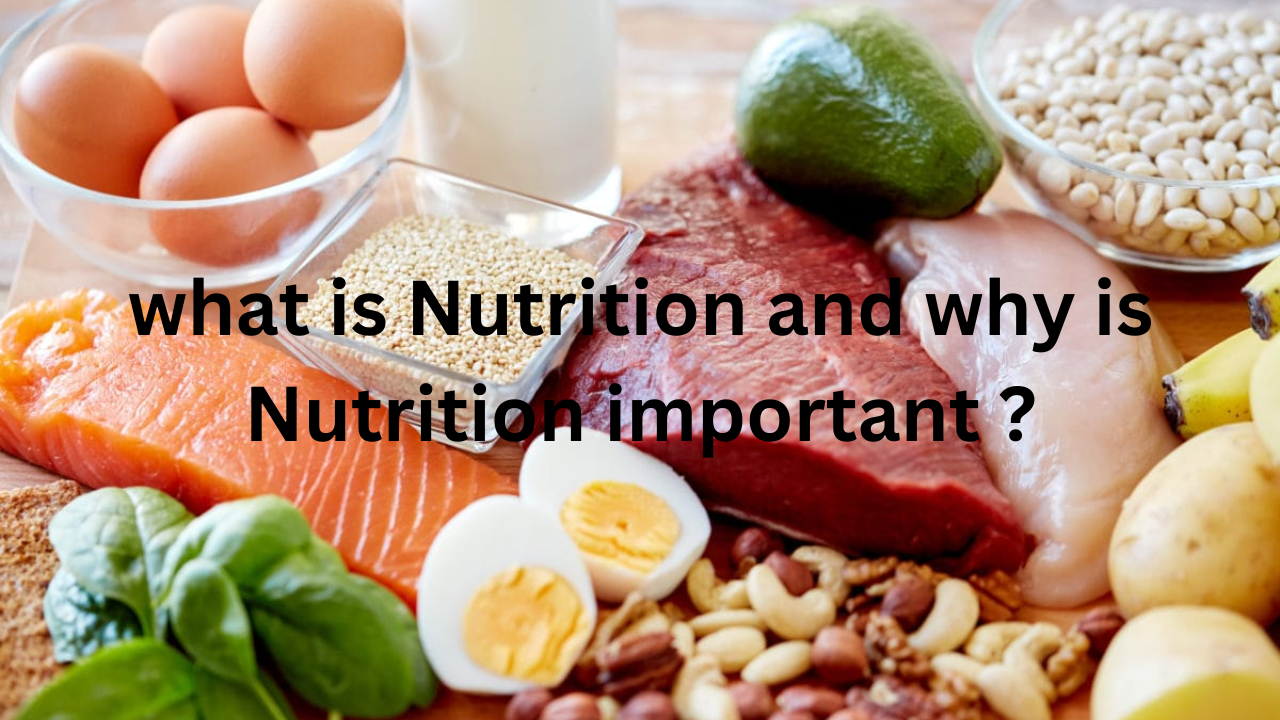 what is Nutrition and why is Nutrition important ?