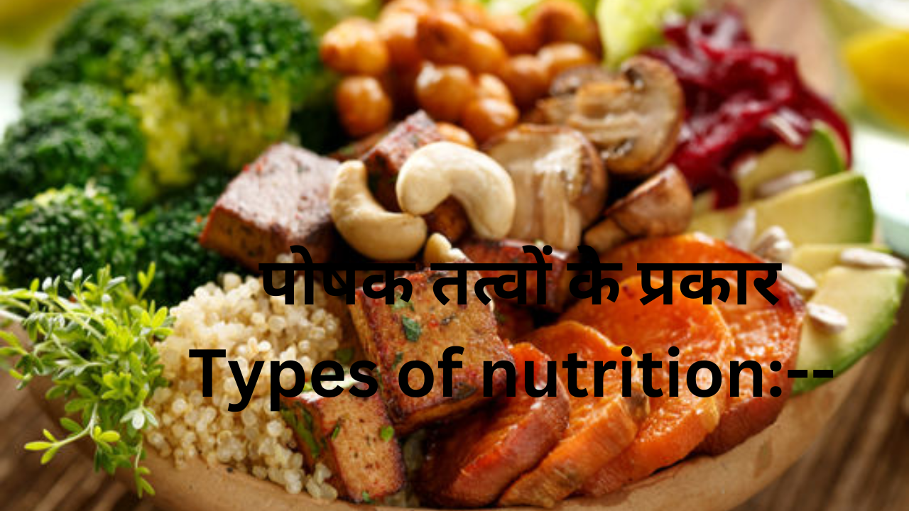 पोषक तत्वों के प्रकार: - Types of nutrition