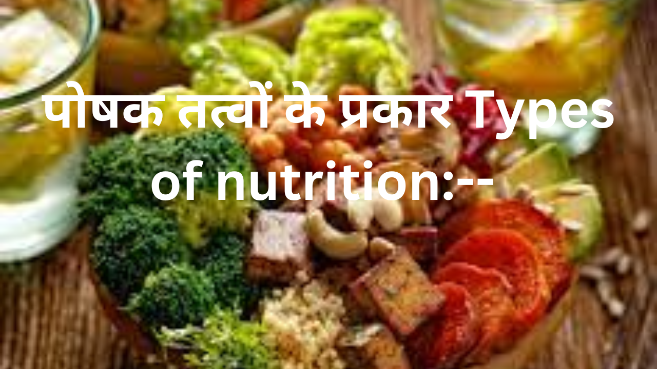 पोषक तत्वों के प्रकार: - Types of nutrition
