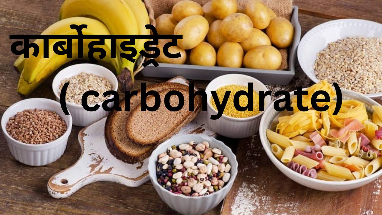कार्बोहाइड्रेट ( carbohydrate)