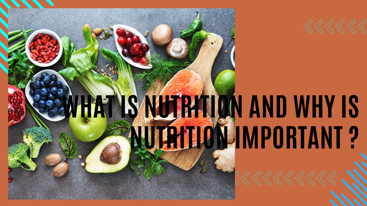 what is Nutrition and why is Nutrition important ?